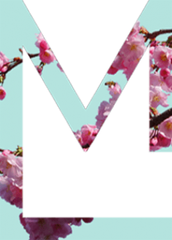 Logo Marie LIBERT